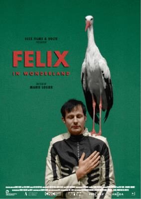 Felix in wonderland